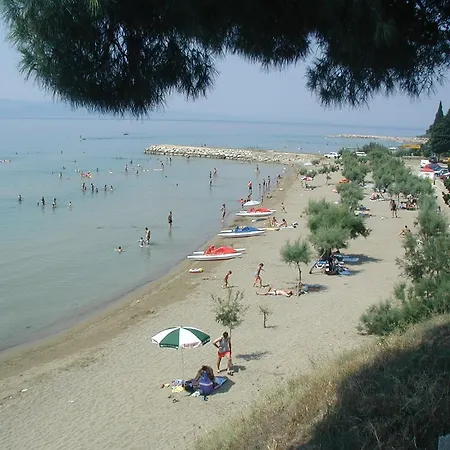 Dizma Daire *